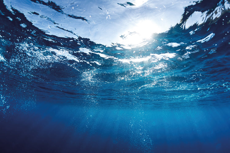 OCEANYST